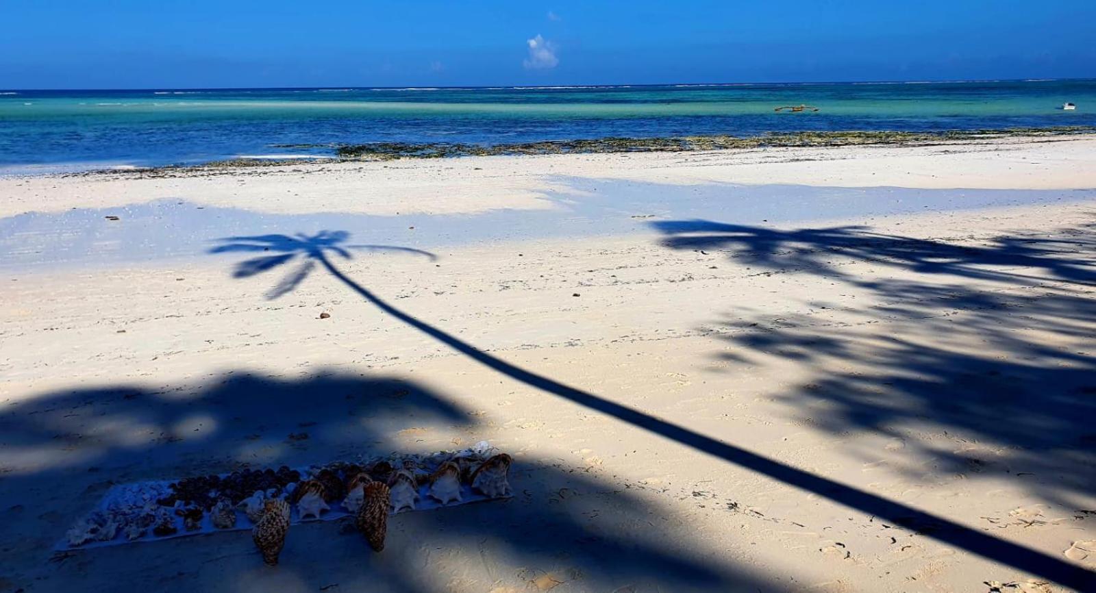 Lazy Beach House Kiwengwa (Zanzibar) Exterior foto