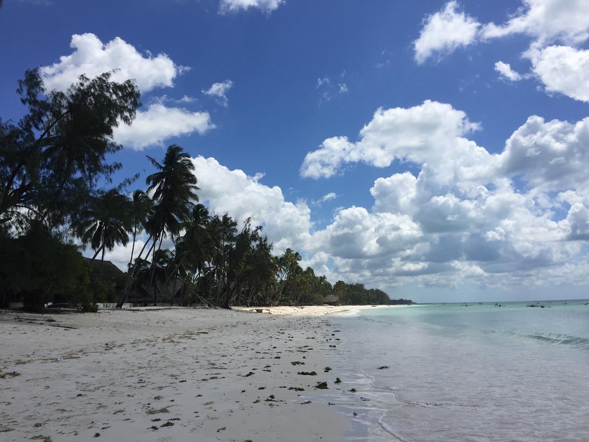 Lazy Beach House Kiwengwa (Zanzibar) Exterior foto